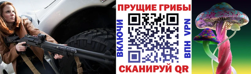 Купить  Шарыпово  Псилоцибиновые грибы Magic Shrooms 